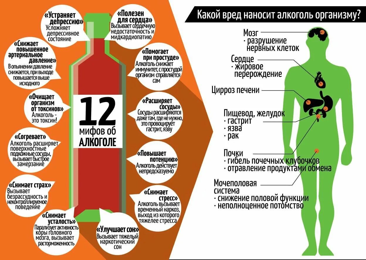 Мы есть то сколько мы едим. Алкоголизм инфографика. Инфографика алкоголь.