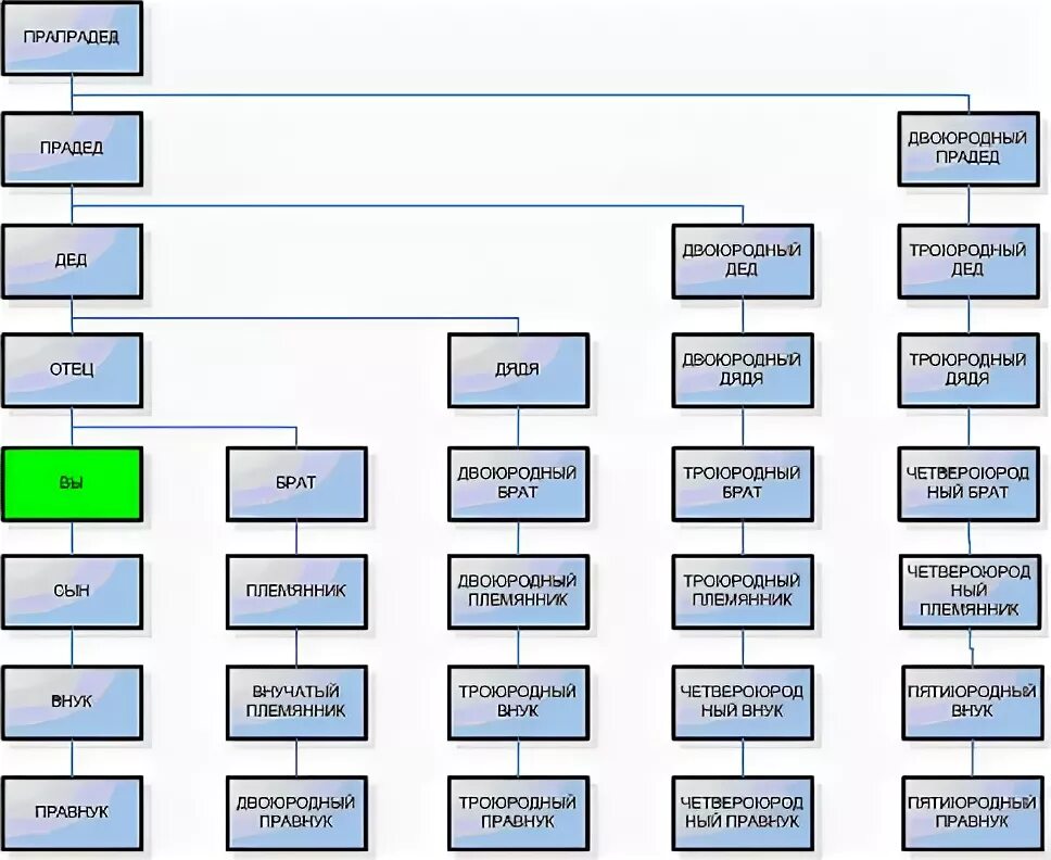 Древо родственников кто кем кому приходится схема. Схема родословной семьи кто кому приходится. Схема родственных связей двоюродных сестер. Схема родства генеалогическое дерево. Внучатый племянник это кто простыми