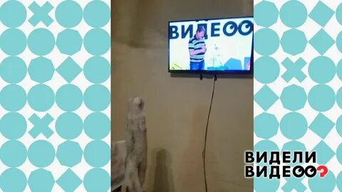1 видео пришлю