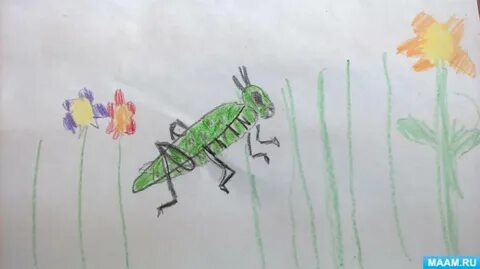 Насекомые рисование в подготовительной