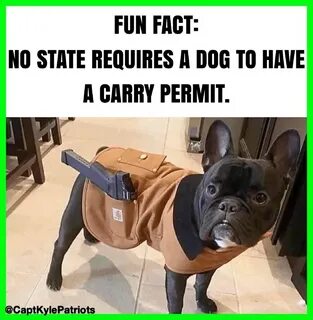 State required