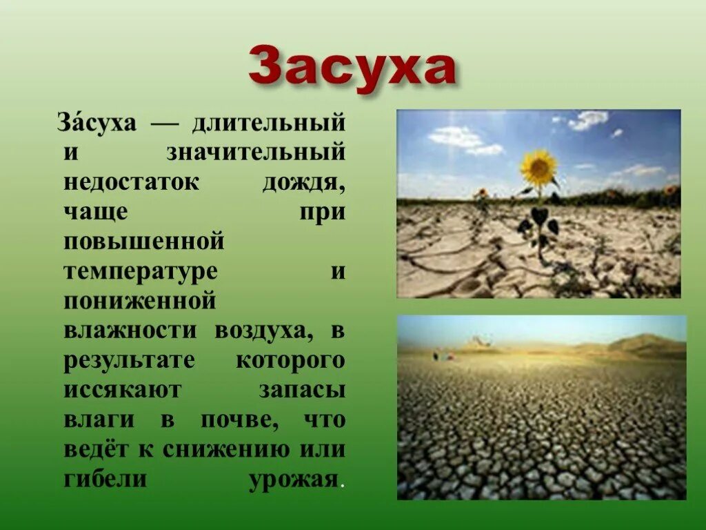 В виду длительной засухи мы часто. Засуха. Засуха презентация. Засуха краткое описание. Сообщение о засухе.