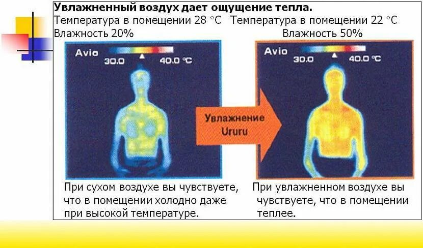 Чувство температуры без температуры. Влажность воздуха. Влажность для человека. Тепловые ощущения человека. Высокая влажность воздуха в квартире.