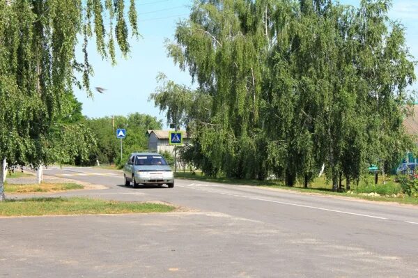 Кочетовка 5. Ивня белгородская область фото. Кочетовка 5 фото. Гисметео кочетовка. Кочетовка 3 мичуринск.