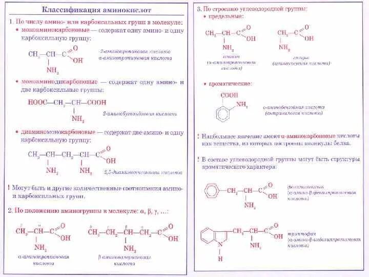 Химические свойства аминов 10 класс. Химические свойства аминокислот таблица 10 класс. Химические свойства аминокислот 10 класс химия. 10. Химические свойства аминокислот. Химия 10 класс Амины аминокислоты.