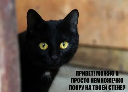 Привет сможешь после
