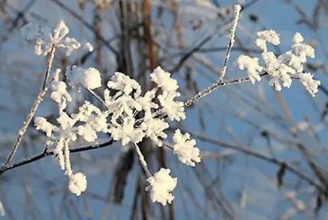 Похолодание апрель