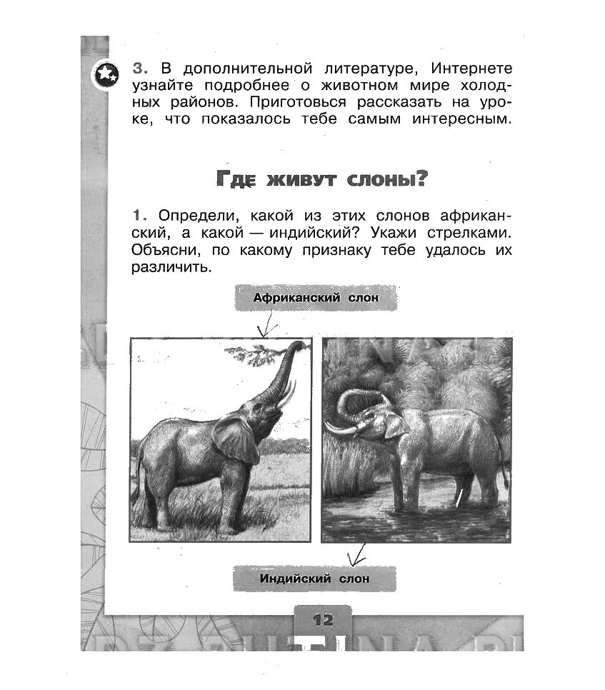 Плешаков 1 класс 1 часть ответы