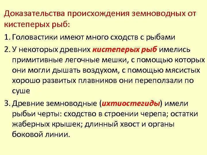 Доказательства родства человека и животных таблица. Доказательства животного происхождения человека. Палеонтологические доказательства происхождения человека. Доказательства происхождения человека таблица. Доказательства происхождения человека от животных.