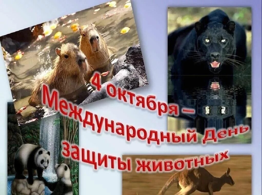 Новости