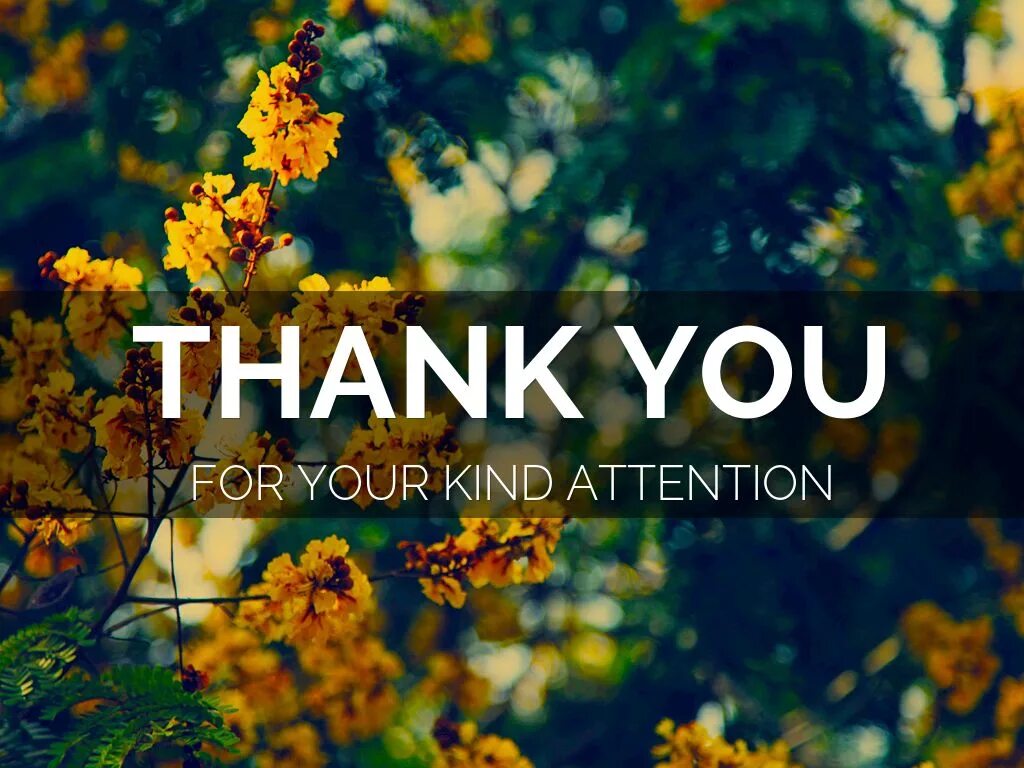 Thank you for kind. Thank you for your attention картинки. Спасибо за внимание на английском природа. Фон thank you for your attention. Слайд thank you for the attention.