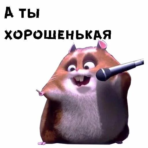 Как работает хомяк в телеграмме. Хомяк стикер. хомяк рино. стикер хомяк телеграмм.