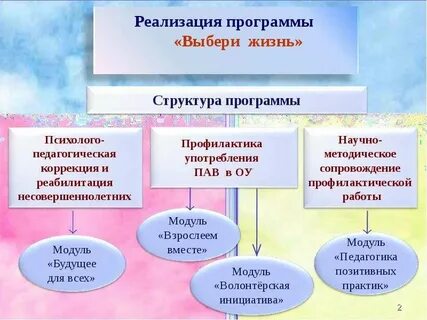 Новая жизнь структура