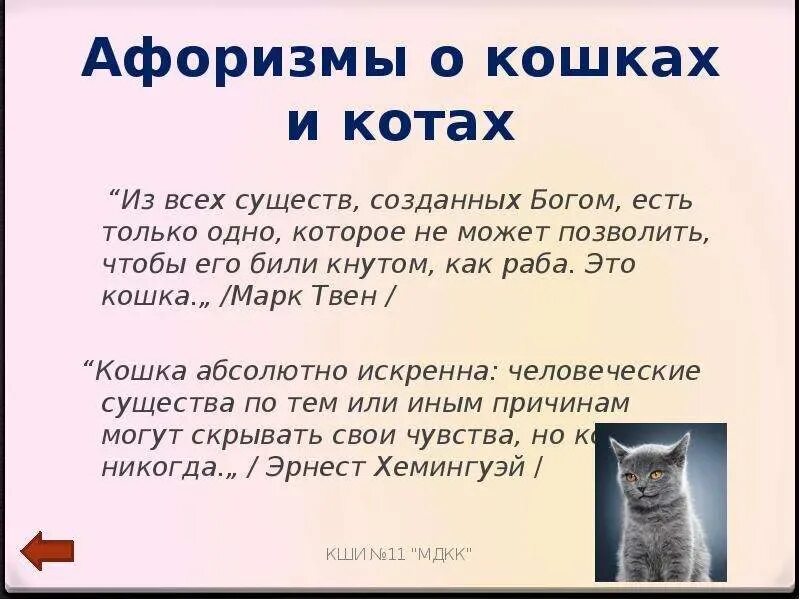 Высказывания о кошках. Цитаты про кошек. Цитаты и фразы о кошках. Афоризмы с котиками.