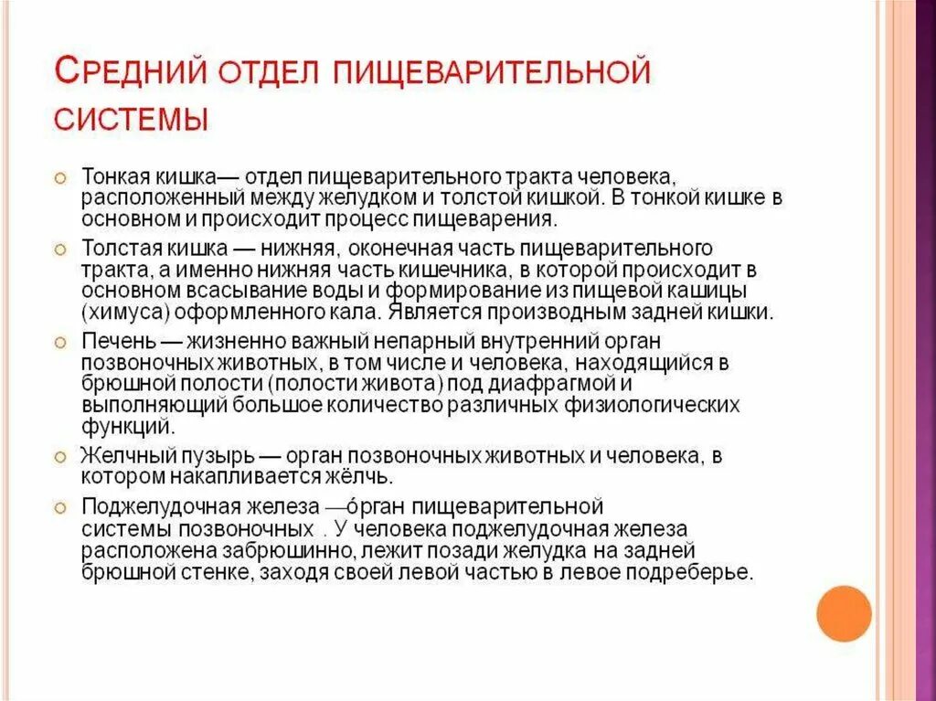 Функции переднего отдела пищеварительной системы. Средний отдел пищеварительного тракта. Средний и задний отделы пищеварительной системы. Развитие среднего отдела пищеварительной системы.