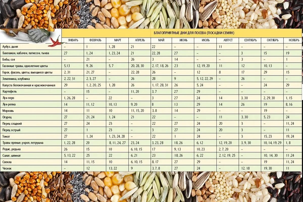 Какие семена можно сажать в марте. Календарь посева семян на рассаду. Календарь рассадки рассады. Календарь высадки семян на рассаду. Лунный календарь для посадки расад.