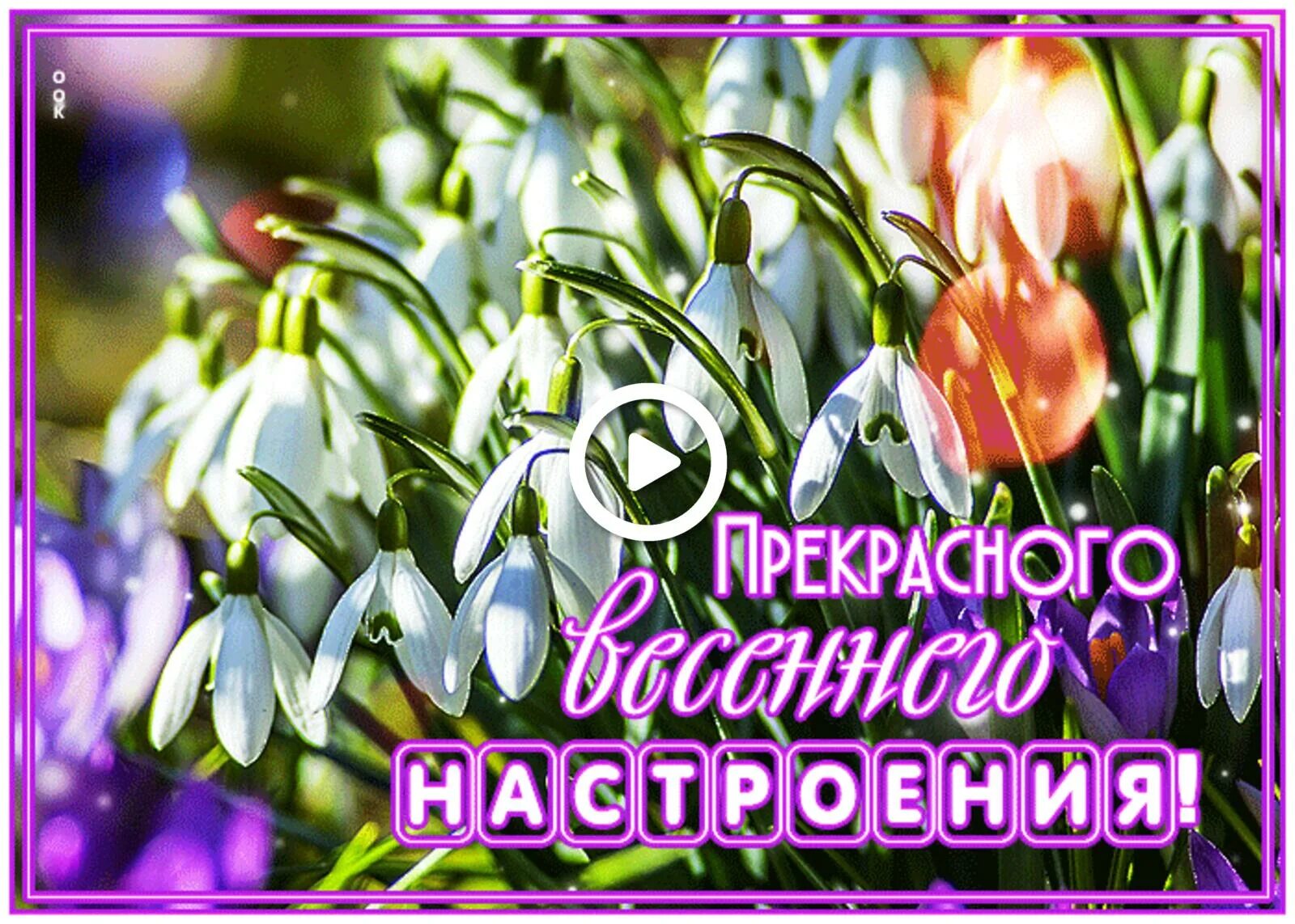 Весенние открытки. Весенние открытки. Хорошего весеннегнастроения. Открытки весеннего настроения. Открытка весенняя настроение.