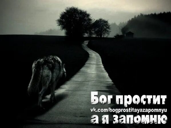 Афоризмы про бога. Проси у бога. Простите меня стихи. Господь иисус прости меня. Прости и бог простит.