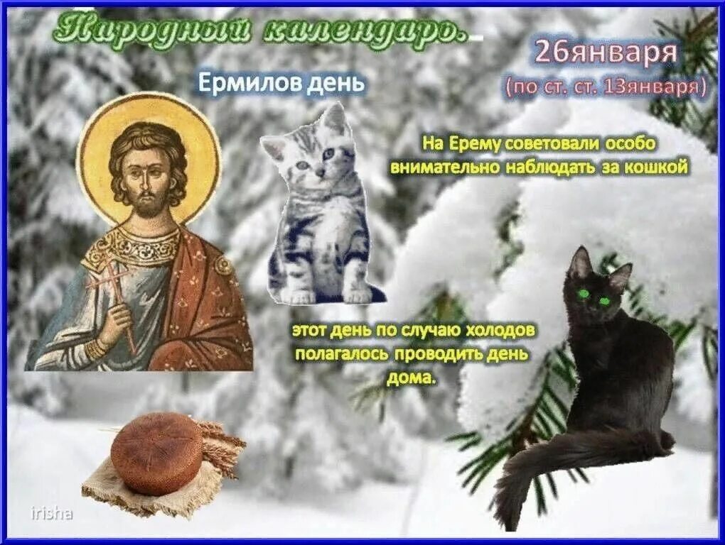 День подарков" 2022, Алексеевский район - дата и место проведения, программа мер