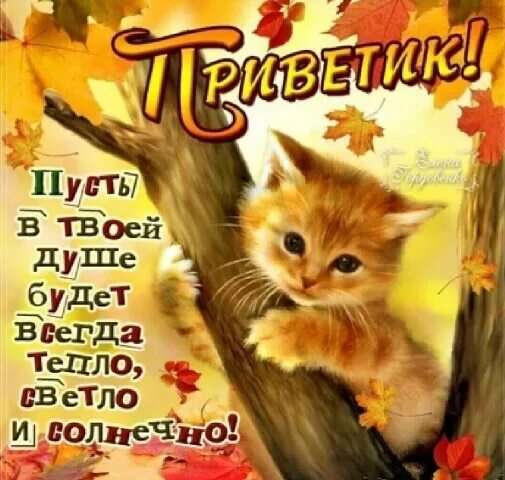 Открытки с пожеланиями здоровья и благополучия. Доброго солнечного дня. Пожелания здоровья и душевного тепла. Тёплого утра и хорошего дня. Тепла как день тепла.
