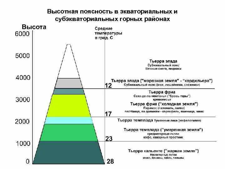 Высотная поясность (умеренные широты). Схема ВЫСОТНОЙ поясности Урала. Схема ВЫСОТНОЙ поясности анд. Высотная поясность в Андах 7 класс. Главная причина возникновения высотной поясности