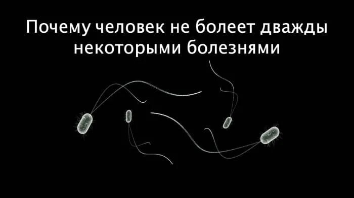 Почему некоторыми болезнями человек болеет повторно?. Почему некоторыми болезнями человек не болеет дважды. Причины некоторых болезней 2 класс.