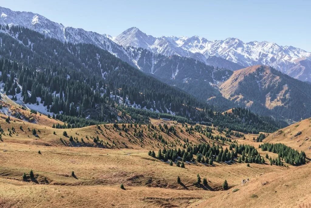 Алматы горы алатау. Восточный казахстан гора белуха фото. Катон карагай казахстан. Гора салоп алтай. Алма-ата горы алатау.
