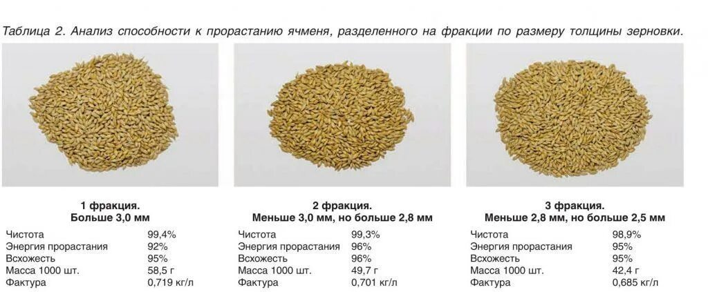 Пшеничный разбор. Анализ ячменя. Показатели качества зерна ячменя. Фракции ячменя. Диаметр зерна.