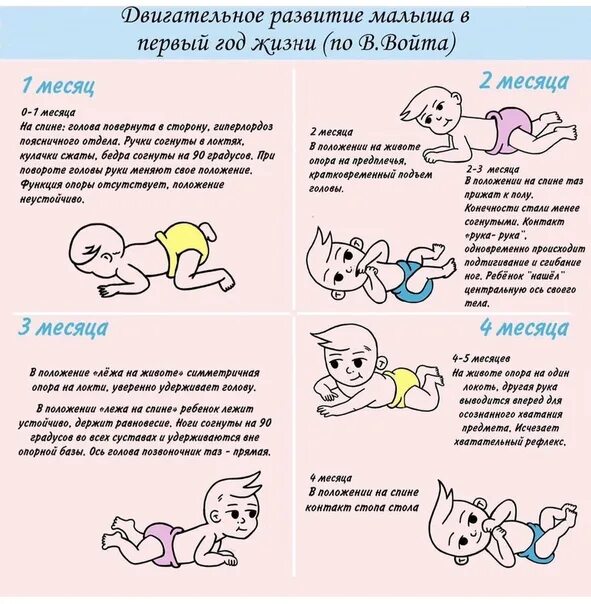 Как развивать ребенка в 9 месяцев. Таблица войта по развитию. двигательное развитие ребенка. развитие ребёнка по войту таблица. в войта таблица развития ребёнка.