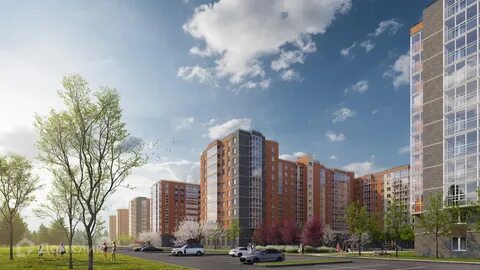 Ул загородная 43 4 колпино