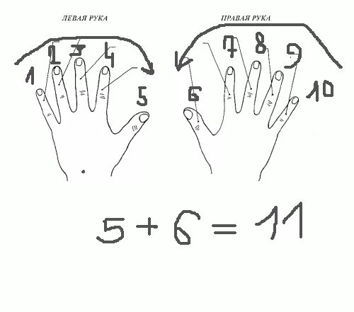Почему 11 пальцев. Фокус с 11 пальцами. Прикол с 11 пальцами на руках. Как посчитать 11 пальцев на руках. Фокус с подсчетом пальцев.