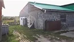 Балтинское кдо мошковский район. Д балта. Д балта. Ул. Деревня балта мошковский район новосибирская.