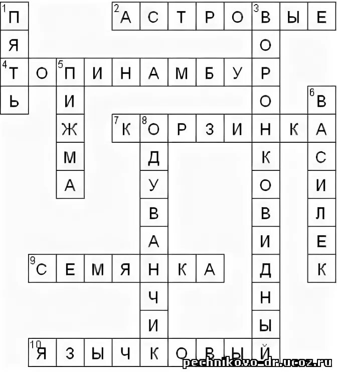 Кроссворд по биологии семейство класса двудольные. Кроссворд на тему Сложноцветные семейство. Реакция организма кроссворд