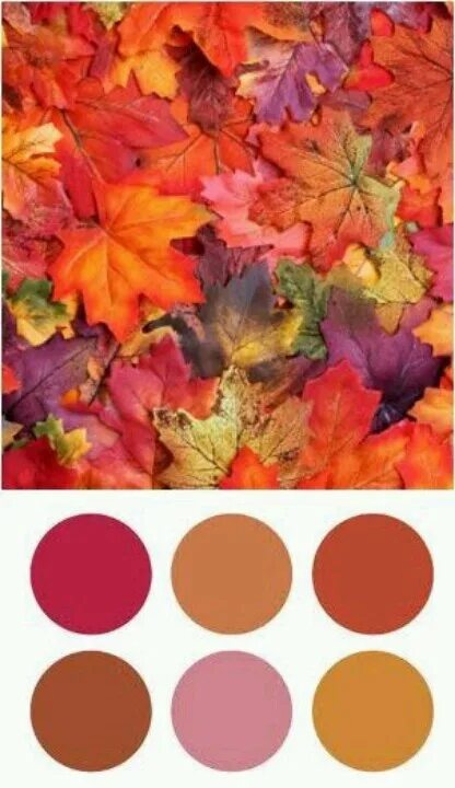 Fall in colours