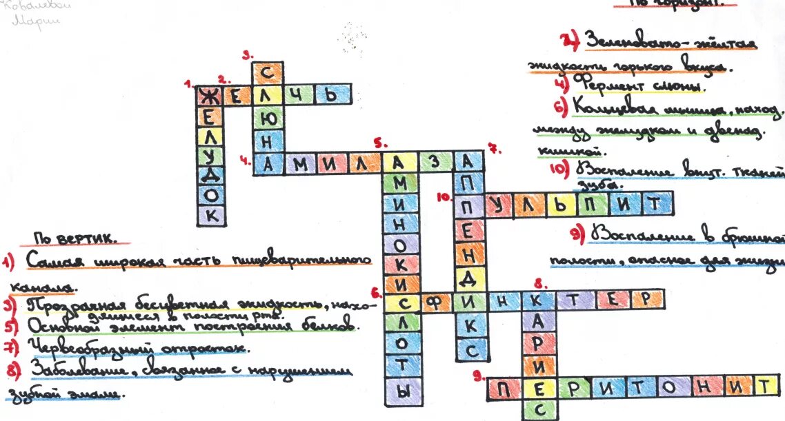 Кроссворд по теме пищеварительная система 8 класс. Кроссворд по теме пищеварительная система. Кроссворд по пищеварительной системе. Кроссворд на тему органы пищеварительной системы. Кроссворд на тему пищеварительная система.