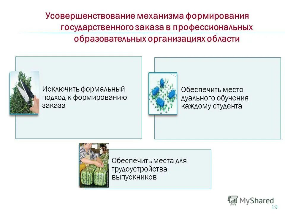 Государственный заказ формирование