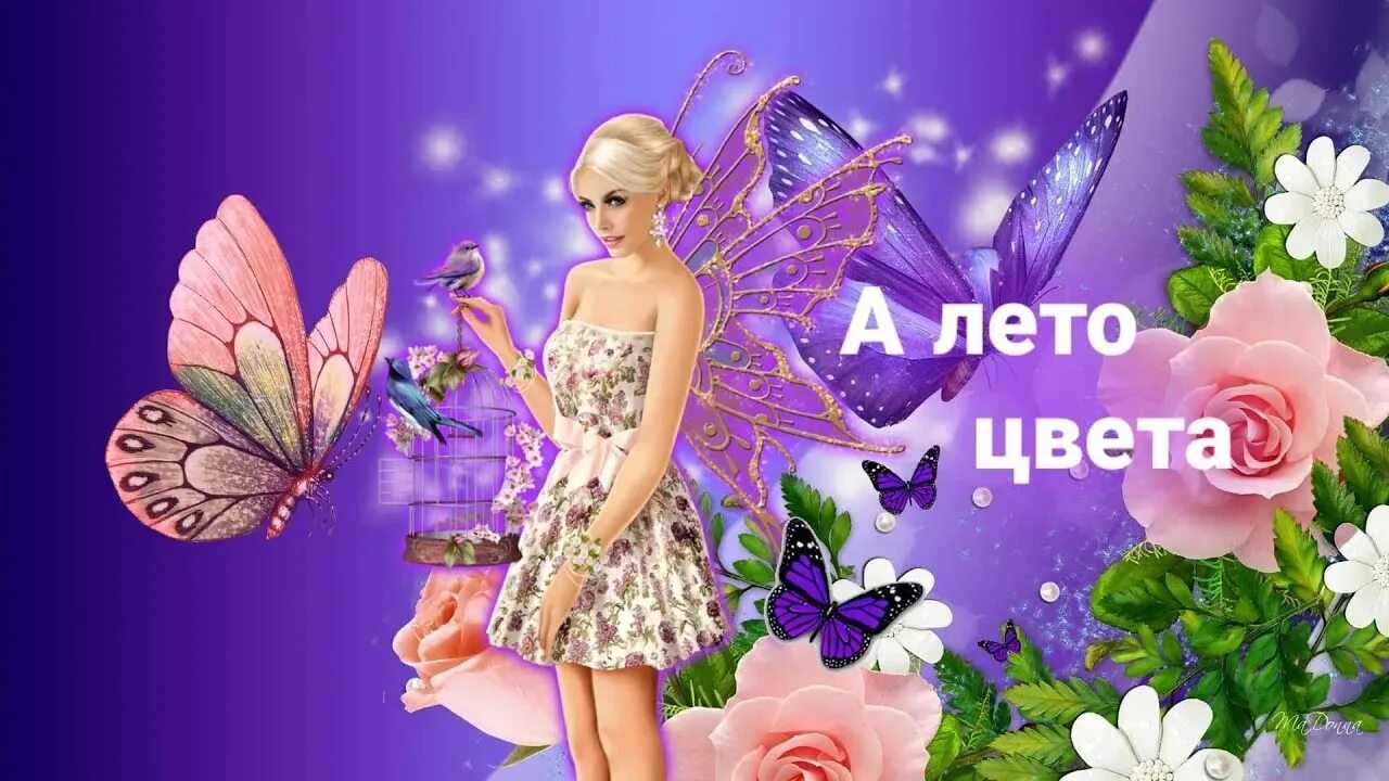 Песня а небо цвета. Лето цвета. а лето цвета неба. а небо цвета лета шатунов.