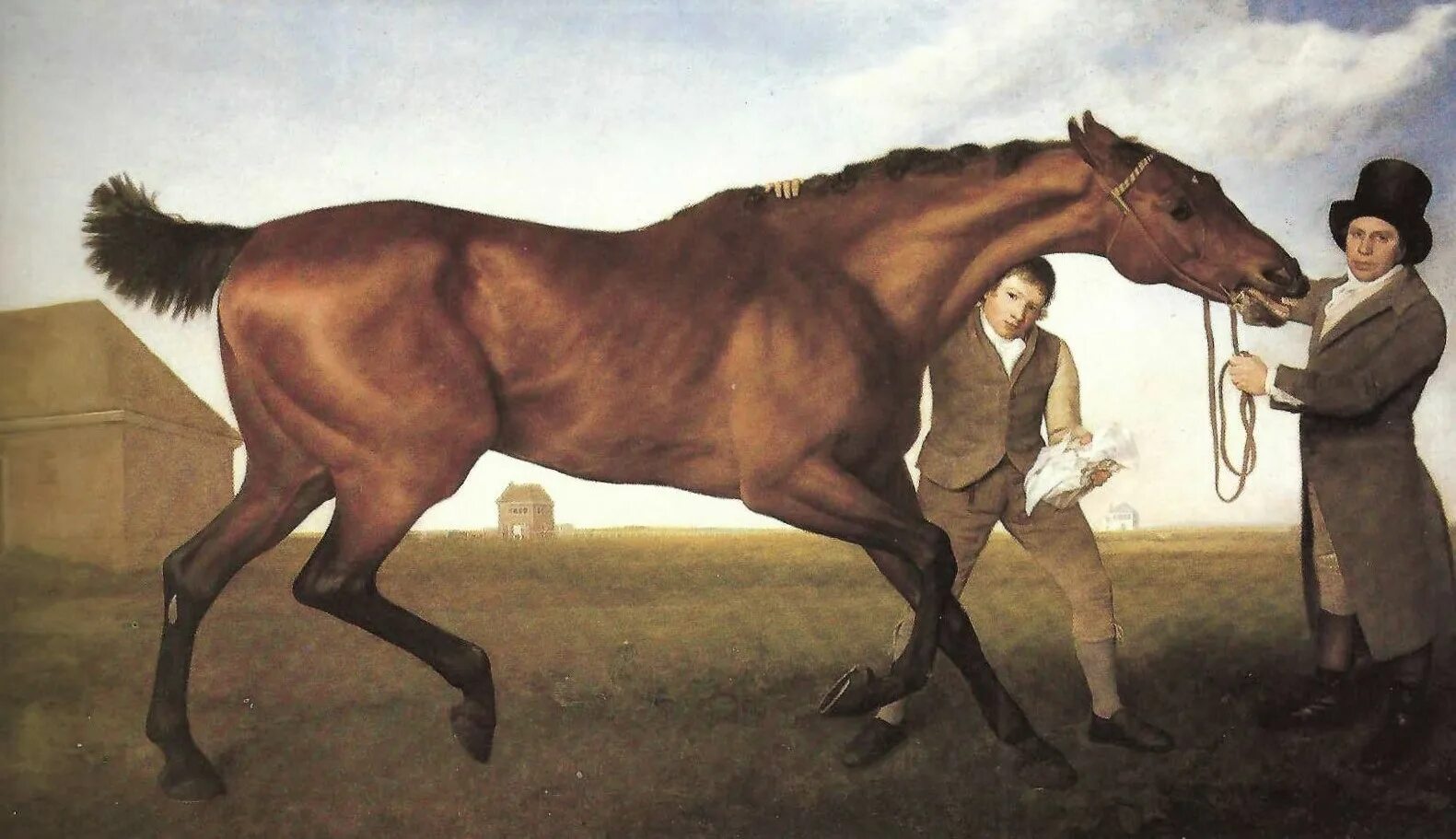 Джордж стаббс whistlejacket. Джордж стаббс жеребец уистлджакет. Джордж стаббс портрет. «уислиджейкет». Джордж стаббс лошади.