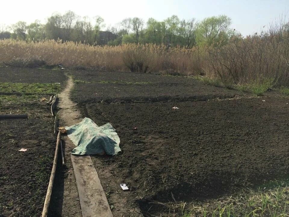 Сколько наших погибло в авдеевке. Пейзаж из Авдеевки. Авдеевка 2014. Улицы Авдеевки с трупами.