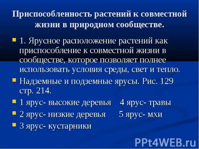 Приспособленность растительных сообществ. Приспособления растений к совместной жизни. Приспособленности растений к совместной жизни. Приспособленность растений к жизни в сообществе. Приспособленность растений к совместной жизни в сообществе.