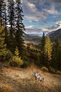 Таежными тропами
