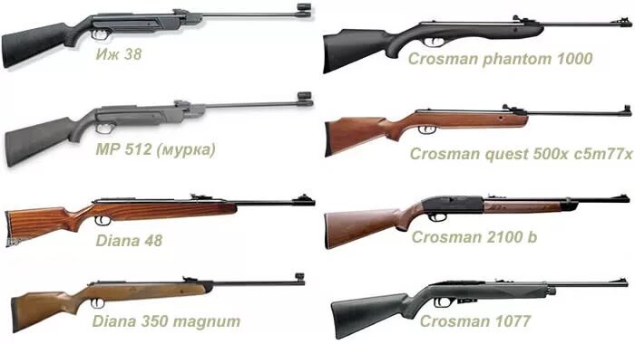 винтовка байкал мр-512. пневматическая винтовка иж переломка ссср. воздушка название. название воздушки. пневматическое оружие кросман 1077.
