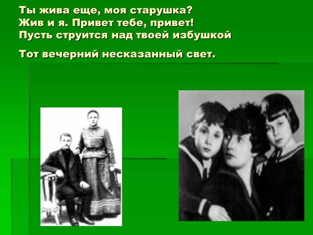Стих ты жива моя старушка. Пушкин ты жива еще моя старушка. Письмо старушке есенин. Пушкин ты жива еще моя старушка. Ты жива моя старушка.