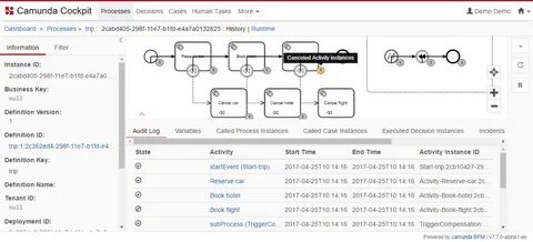 Camunda variables