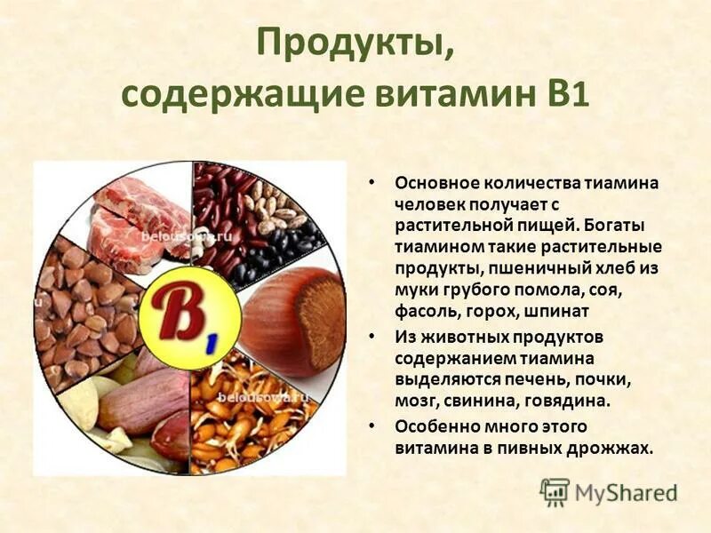 В1 в каких продуктах содержится больше всего