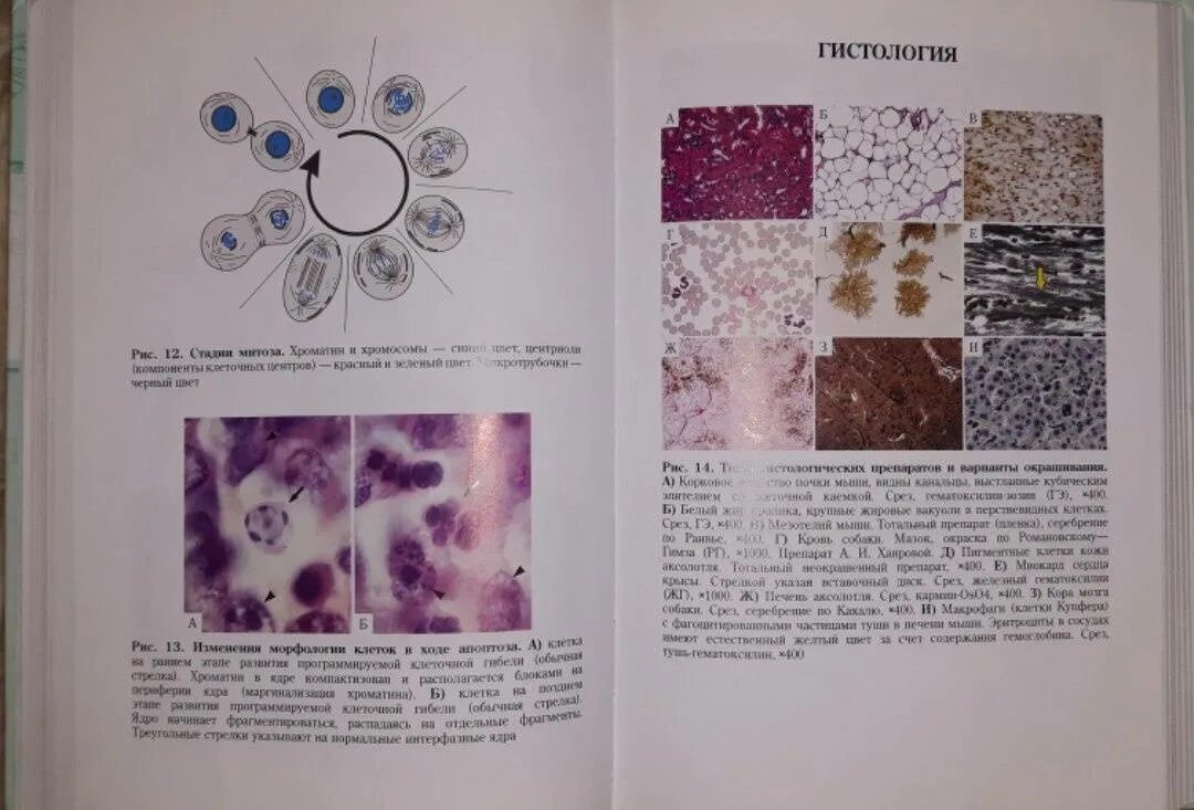 Для подготовки к практической олимпиаде по биологии книга. Практическая биология для олимпиадников решетова. Практическая биология для олимпиадников. Практическая биология для олимпиадников книга. Практическая биология для олимпиадников.