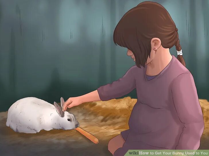 Как гладить кролика. Мужчина гладит зайца карта таро. Как гладить кролика. Гладит кролика. Погладить кролика.