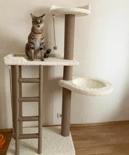 Когтеточка для куна
