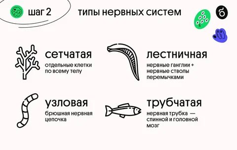 Типы гэ