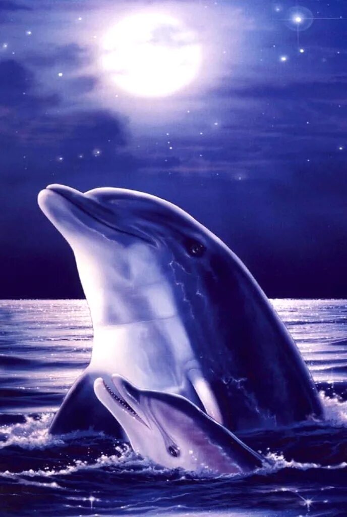 Дельфины в море. Дельфины фото на экран ноутбука. Живые дельфины. Картинки на телефон дельфины. Дельфины на рабочий стол.